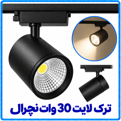 %20لایت%2030%20وات%20نچرال-500x500.png