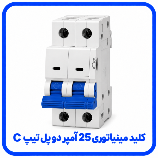 %20مینیاتوری%2025%20آمپر%20دو%20پل%20تیپ%20C-550x550.png